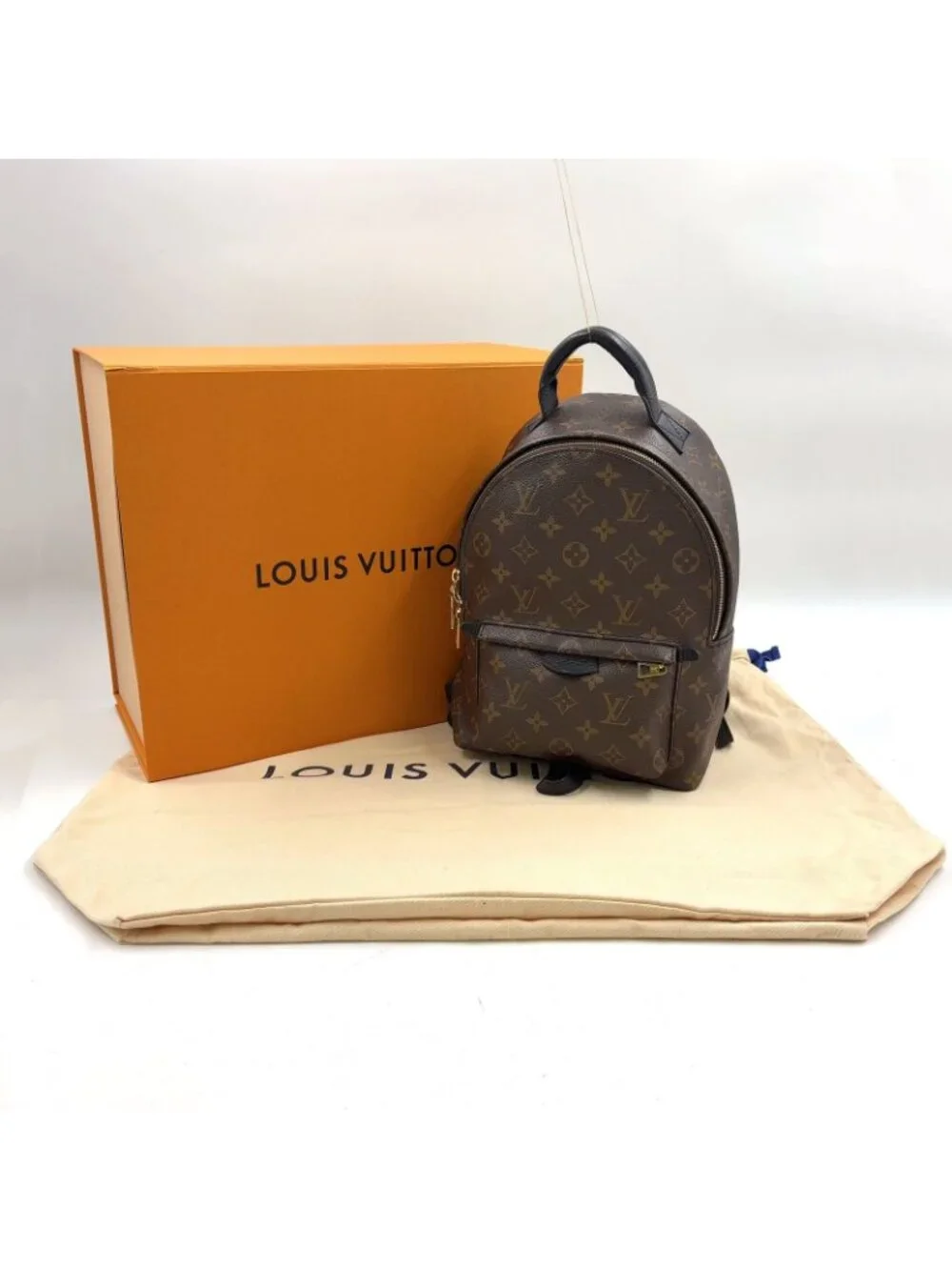 Louis Vuitton Palm Springs PM Monogram Leather
